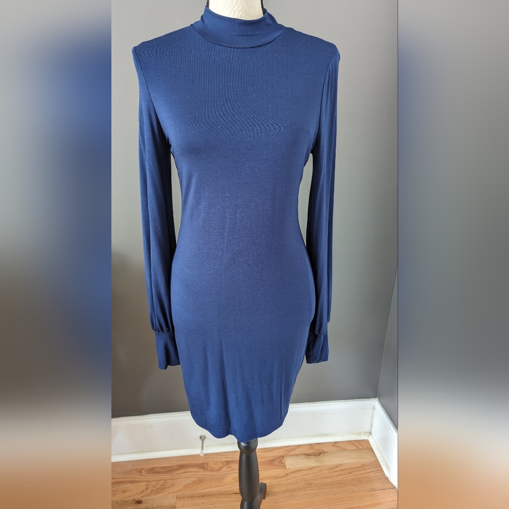 Women's fitted long sleeve dress